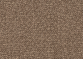 Mirage Champagne Beige J527