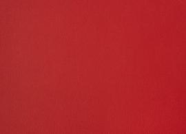 Horizon Capriccio Logo Red 10200 16
