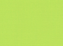 Solids Lime 3936