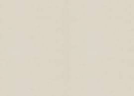 Sunworker Opaque Pearl M006