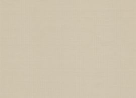 Sunworker Opaque Beige M712