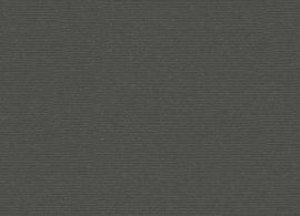 Sunbrella Plus Taupe 5548