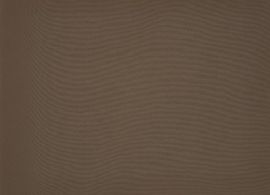 Orchestra Cacao 8776