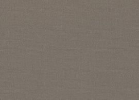 MAX Taupe 7559