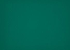 Orchestra Vert 0003