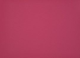 Orchestra Pink U170