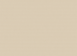 Spark  Sisal U421