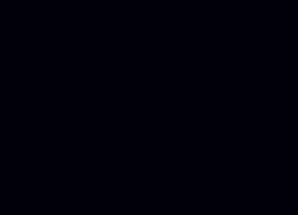 Diklon 29 Noir  6028