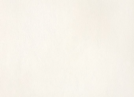 Horizon Capriccio White 10200 01