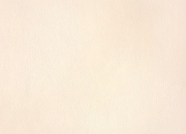 Horizon Capriccio Ivory 10200 03