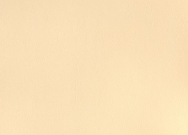 Horizon Capriccio Vellum 10200 04