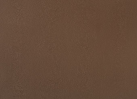 Horizon Capriccio Mink 10200 13