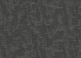 Ecume Xenon Grey J521