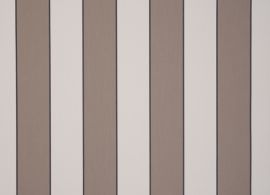 Orchestra Goldies Sienne Beige D100