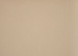 MAX Dune 0681