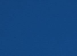 Orchestra Bleu 0017