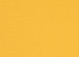 Orchestra Jaune 6316