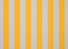 Orchestra Blanc/jaune 8553