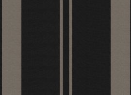 Orchestra Club Noir D538