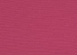 Orchestra Pink U170