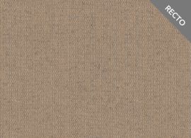 Sunbrella Seamark Toast Tweed 2100