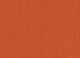 Solids Pumpkin  3969