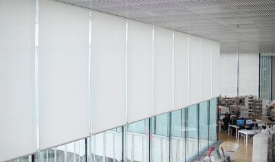 Bibliothek Frederic Hamon