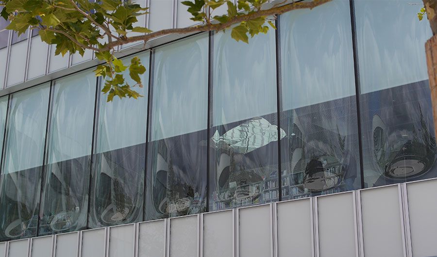 Bibliothek Frederic Hamon