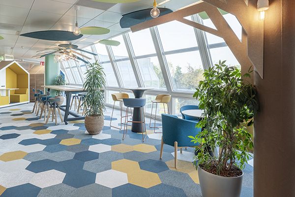 BRING WELLBEING INTO YOUR WORKING ENVIRONMENT