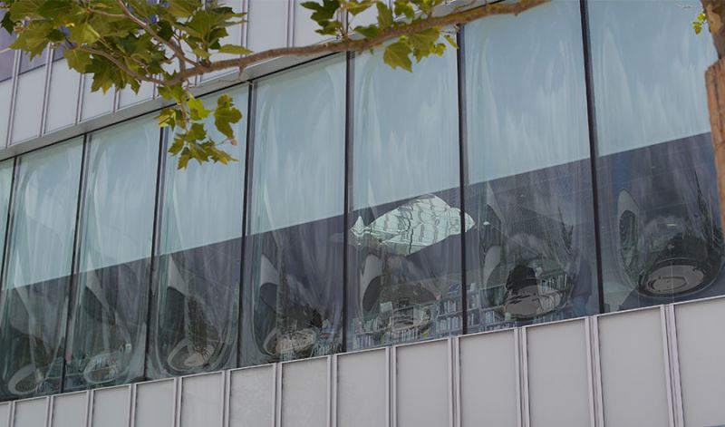 Bibliothek Frederic Hamon