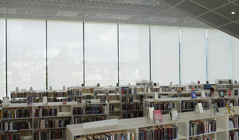 Bibliothek Frederic Hamon