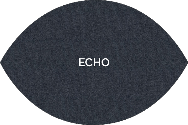 Echo